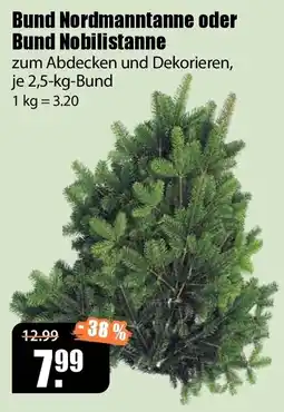 V Baumarkt Bund Nordmanntanne oder Bund Nobilistanne Angebot