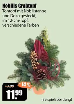 V Baumarkt Nobilis Grabtopf Angebot