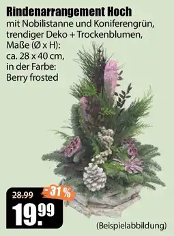 V Baumarkt Rindenarrangement Hoch Angebot