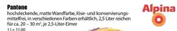 V Baumarkt Pantone Alpina Angebot