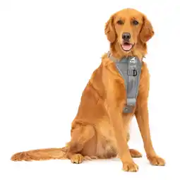 Netto Marken-Discount Kurgo Tru-Fit Autosicherheitsgeschirr für Hunde, Größe XL, Grau Angebot