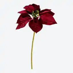 NKD Kunstblume Weihnachtsstern, Höhe ca. 30 cm Angebot