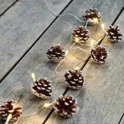 NKD LED-Lichterkette Tannenzapfen mit Timerfunktion, ca. 140 cm Angebot