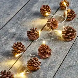 NKD LED-Lichterkette Tannenzapfen mit Timerfunktion, ca. 140 cm Angebot
