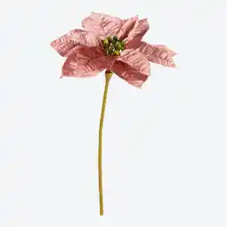 NKD Kunstblume Weihnachtsstern, Höhe ca. 30 cm Angebot