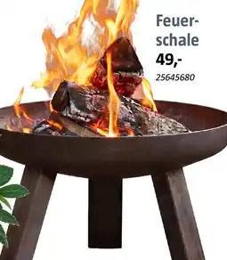 Bauhaus Feuerschale Angebot