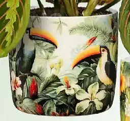 Bauhaus Übertopf 'Summer Bloom' oder 'Tucano' Angebot