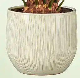 Bauhaus Übertopf Pablo' Angebot