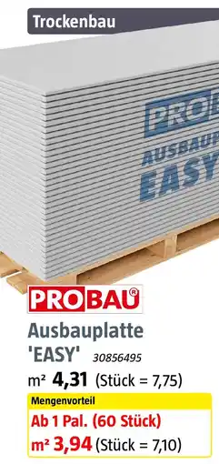 Bauhaus PROBAU Ausbauplatte EASY Angebot