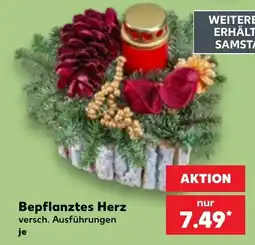 Kaufland Bepflanztes Herz Angebot