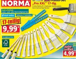 Norma XXL-Pinsel-Set Angebot