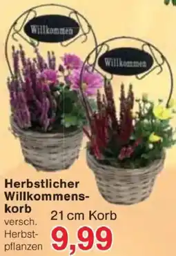 Jawoll Herbstlicher Willkommens-korb Angebot