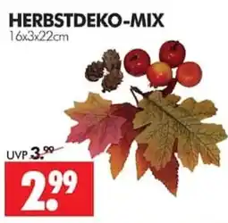Wreesmann HERBSTDEKO-MIX Angebot