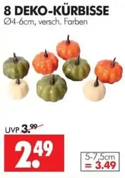Wreesmann DEKO-KÜRBISSE Angebot