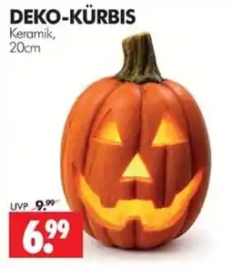 Wreesmann DEKO-KÜRBIS Angebot