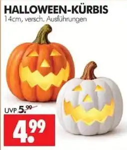 Wreesmann HALLOWEEN-KÜRBIS Angebot