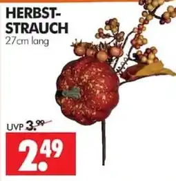 Wreesmann HERBST-STRAUCH Angebot