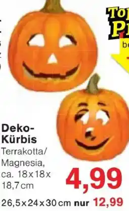 Jawoll Deko-Kürbis Angebot