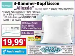 Norma 3-Kammer-Kopfkissen "Allessia" Angebot