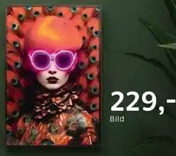 XXXLutz Bild Angebot