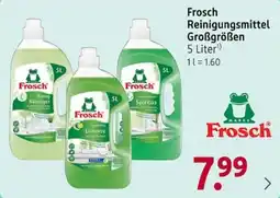 Rossmann Frosch Reinigungsmittel Angebot