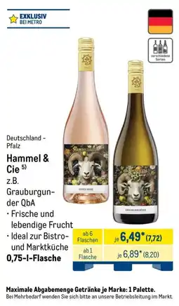 METRO Hammel & Cie Grauburgunder QbA Angebot