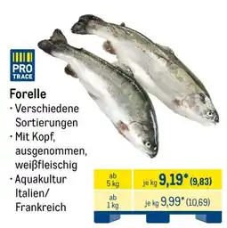 METRO PRO TRACE Forelle Angebot