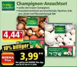 Norma Champignon-Anzuchtset Angebot