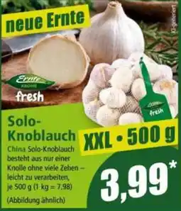 Norma Solo-Knoblauch Angebot