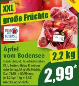 Norma Äpfel vom Bodensee Angebot