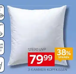 XXXLutz 3-KAMMER-KOPFKISSEN Angebot
