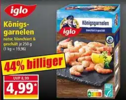 Norma iglo Königsgarnelen Angebot