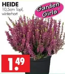 Wreesmann HEIDE Garden Girls Angebot