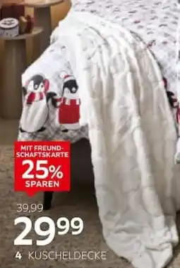 XXXLutz 4 KUSCHELDECKE Angebot