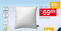 XXXLutz KOPFKISSEN Angebot