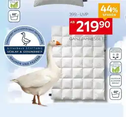 XXXLutz GANZJAHRESBETT Angebot