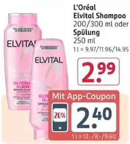 Rossmann L'Oréal Elvital Shampoo Angebot