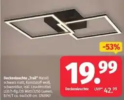 Segmüller Deckenleuchte "Trail" Metall Angebot