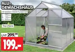 Wreesmann ALU-GEWÄCHSHAUS Top Flora Angebot