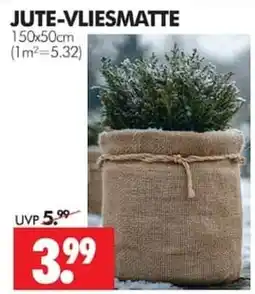 Wreesmann JUTE-VLIESMATTE Angebot