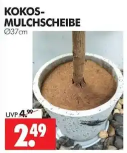 Wreesmann KOKOS-MULCHSCHEIBE Angebot