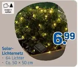 Rossmann Solar-Lichternetz Angebot