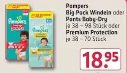 Rossmann Pampers Big Pack Windeln oder Pants Baby-Dry Angebot