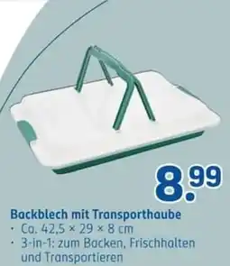 Rossmann Backblech mit Transporthaube Angebot