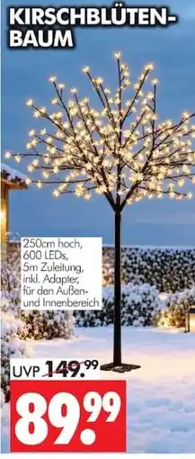 Wreesmann KIRSCHBLÜTEN-BAUM Angebot