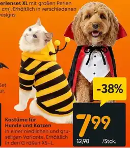 Rusta Kostüme für Hunde und Katzen Angebot