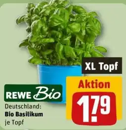REWE REWE Bio Bio Basilikum Angebot