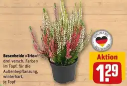 REWE Besenheide »Trio« Angebot