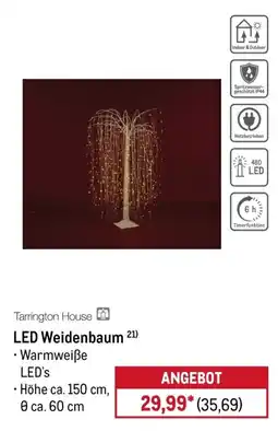 METRO Tarrington House LED Weidenbaum Angebot