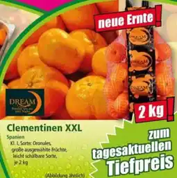 Norma Clementinen XXL DREAM Angebot